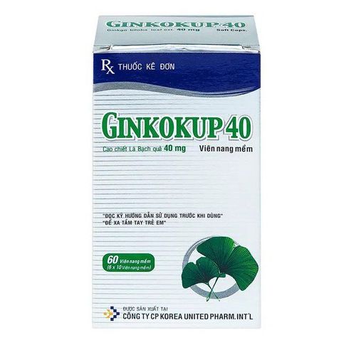 Uses of Ginkokup 40