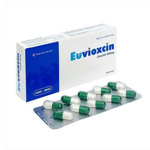 Uses of Euvoxcin