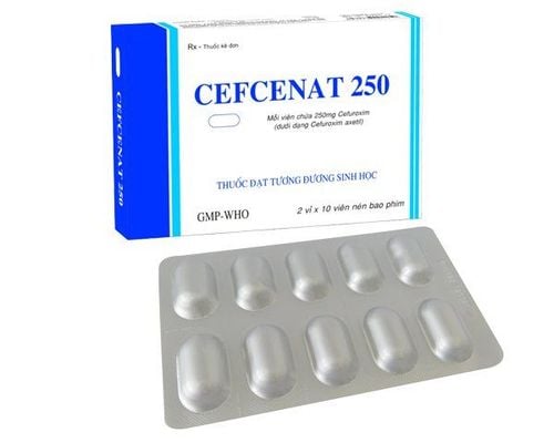 Uses of Cefcenate 250