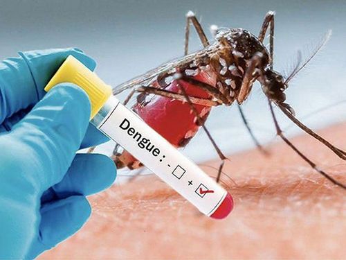 How to read dengue blood test readings