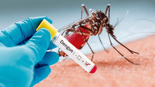 Recovery period after dengue fever