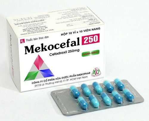 Uses of Mekocefal 250