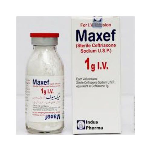 Uses of the drug Maxef 1g