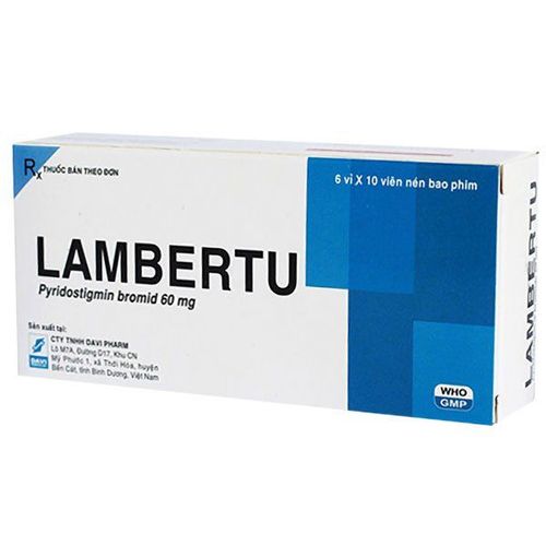 Uses of Lambertu