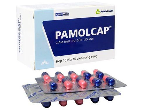 Uses of Pamolcap