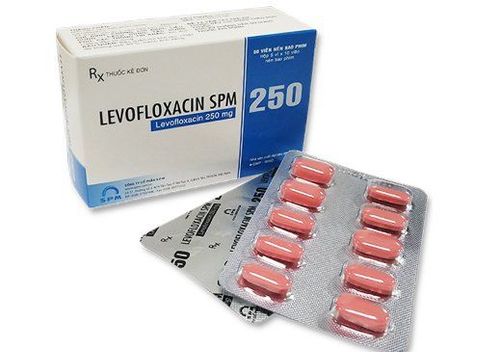 Công dụng thuốc Levofloxacin SPM 250