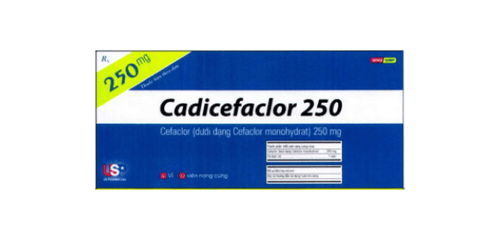 What are the uses of Cadicefaclor?