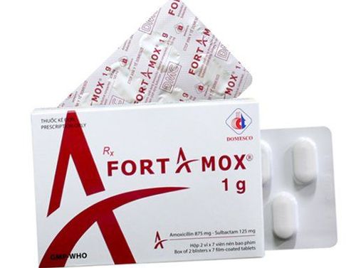 Uses of Fortamox 1g