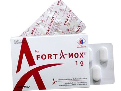 Công dụng thuốc Fortamox 1g