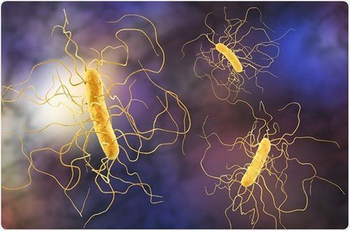 Intra-abdominal Clostridial infection