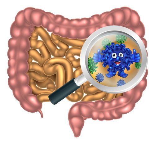 What are the symptoms of intestinal dysbiosis in children?