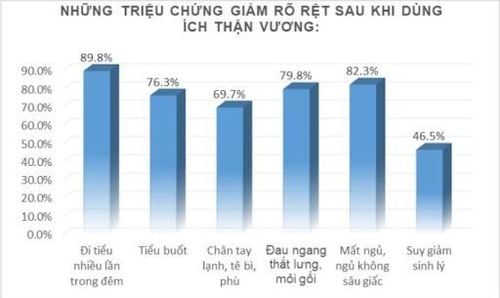 Ích Thận Vương - Bổ thận, lợi tiểu, dùng cho người suy thận, chức năng thận kém