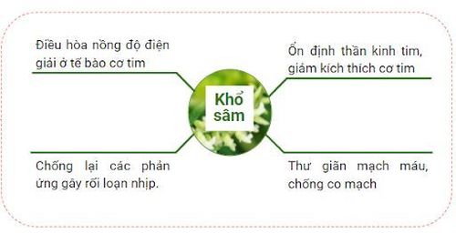 Ninh Tâm Vương giúp ổn định nhịp tim, giảm hồi hộp, trống ngực