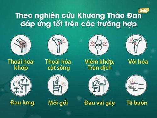 
Khương Thảo Đan hỗ trợ cho người mắc các bệnh lý xương khớp
