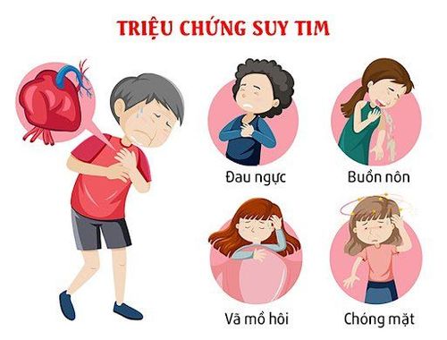 
Những triệu chứng suy tim phổ biến
