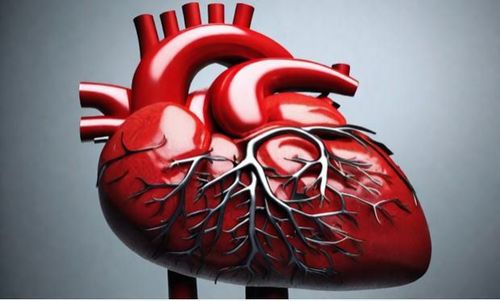 Khi nào cần tái thông mạch máu để điều trị bệnh động mạch vành?