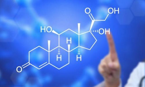 
Cortisol góp phần hình thành mảng bám trong động mạch và gây ra bệnh tâm thần phân liệt
