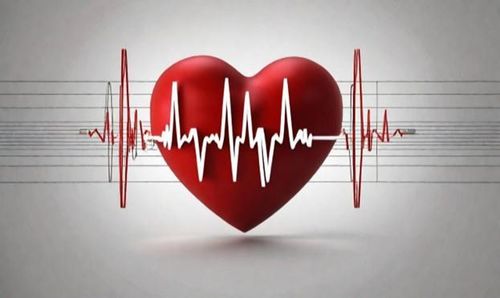 
Sử dụng điện tâm đồ ECG là cách tối ưu để phân biệt nhịp tim nhanh do các bệnh lý khác với nhịp tim nhanh xoang
