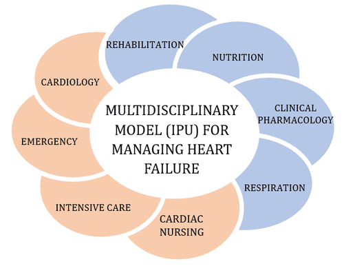 Applying the acc standards to improve the quality of heart failure treatment at Vinmec