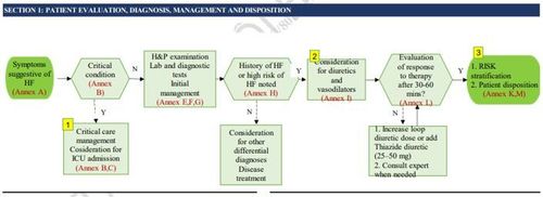 Applying the acc standards to improve the quality of heart failure treatment at Vinmec