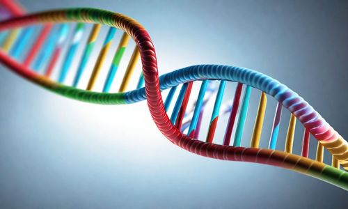 Vật chất di truyền ở cấp độ tế bào là gì? Tổng quan về cấu trúc DNA