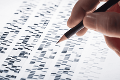 Prenatal diagnosis of a case with SEA-HPFH deletion thalassemia with whole HBB gene deletion