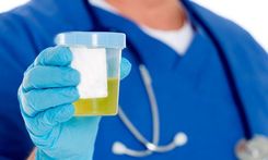 Why Does a Urinalysis Show High White Blood Cells?