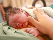 What do babies do in the first hour after birth?