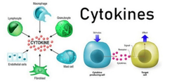Hội chứng cơn bão cytokine ở bệnh nhân covid - 19