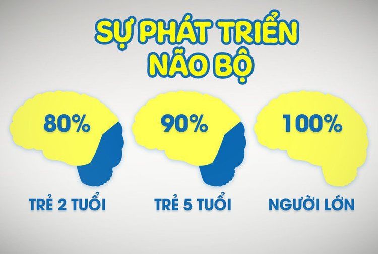 Cần bổ sung Omega thực vật càng sớm càng tốt vì 80% não bộ của trẻ phát triển trước 2 tuổi