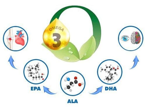 Omega thực vật giúp cơ thể bé có được ba dưỡng chất thiết yếu cho não là ALA, DHA và EPA