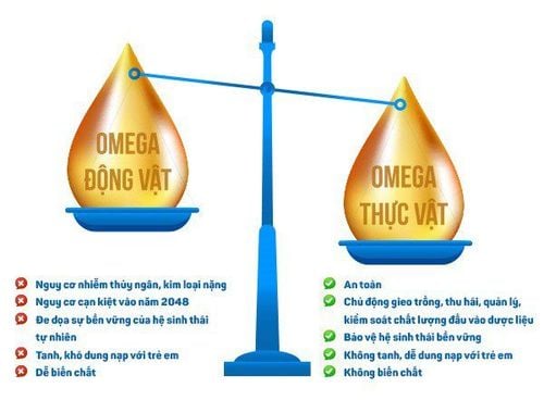 So sánh Omega thực vật và Omega động vật